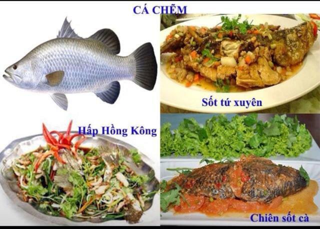 ホテル Khach San Thu Linh Thanh Hóa エクステリア 写真
